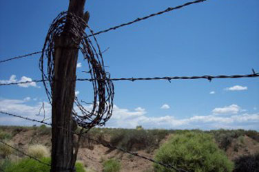 Barbed Wire